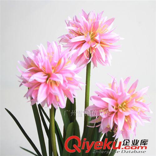 仿真花-花藝盆景系列 廠家直銷 爆款 多肉植物 植毛仙人掌 沙漠植物 植毛動物 小盆景