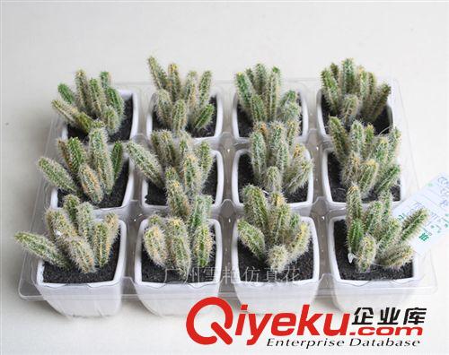 仿真花-花艺盆景系列 厂家直销 爆款 多肉植物 植毛仙人掌 沙漠植物 植毛动物 小盆景