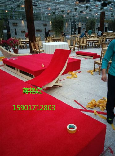 拉絨地毯 商場(chǎng)活動(dòng)用拉絨地毯大紅拉絨地毯舞臺(tái)拉絨地毯批發(fā)