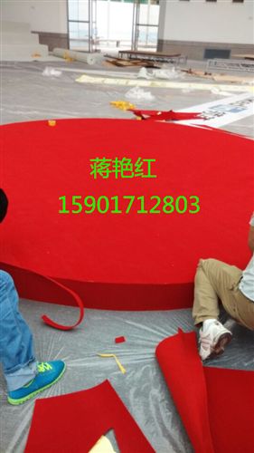 拉絨地毯 商場(chǎng)活動(dòng)用拉絨地毯大紅拉絨地毯舞臺(tái)拉絨地毯批發(fā)