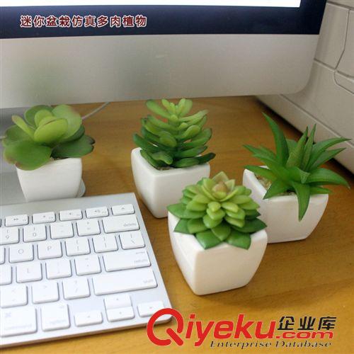 2015 新款产品 迷你小白盆仿真植物 义乌多肉植物 仿真植物迷你小盆栽 zakka杂货