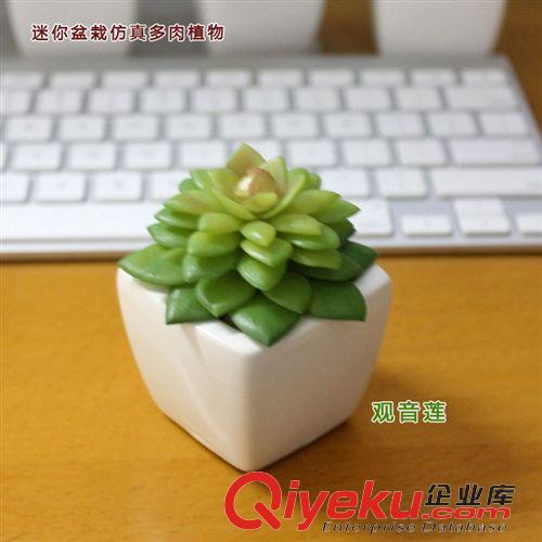 2015 新款产品 迷你小白盆仿真植物 义乌多肉植物 仿真植物迷你小盆栽 zakka杂货