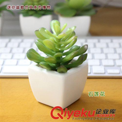 2015 新款产品 迷你小白盆仿真植物 义乌多肉植物 仿真植物迷你小盆栽 zakka杂货