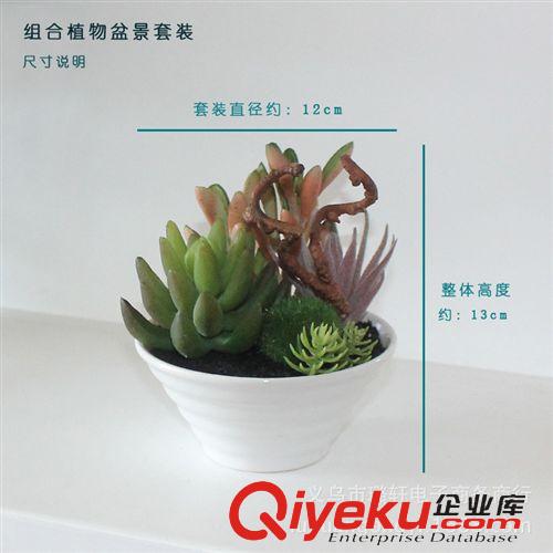 套装花 成品系列 组合仿真植物盆栽套装 仿真植物 植物套装花 塑料花 塑料植物