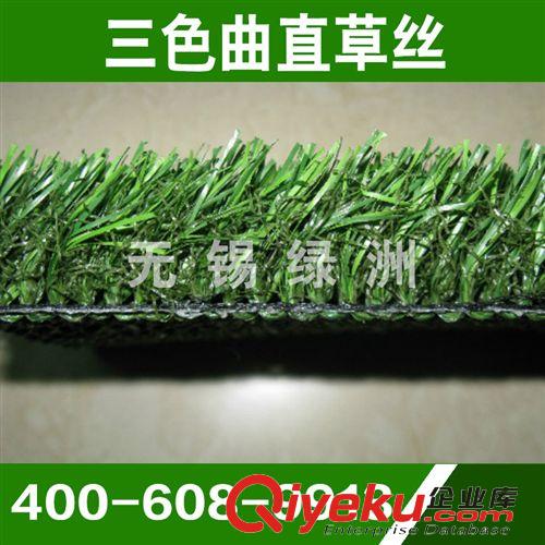景觀裝飾系列產品 《廠家推薦》塑料草坪 人造休閑草皮 三色景觀草坪 熱銷 量大從優原始圖片2