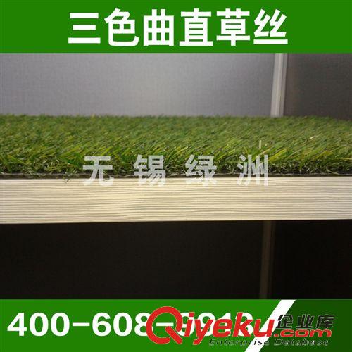 景觀裝飾系列產品 《廠家推薦》塑料草坪 人造休閑草皮 三色景觀草坪 熱銷 量大從優原始圖片3