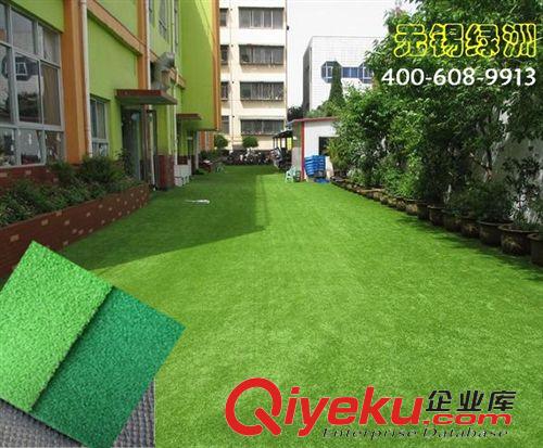 景觀裝飾系列產(chǎn)品 【專業(yè)供應(yīng)】丙綸休閑景觀草 無錫綠洲人造草坪 量大從優(yōu)原始圖片2