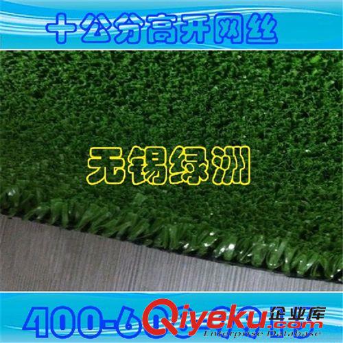 景觀裝飾系列產品 【廠家直銷】精品推薦 網球場專用CPG-10D 人造草坪 量大從優