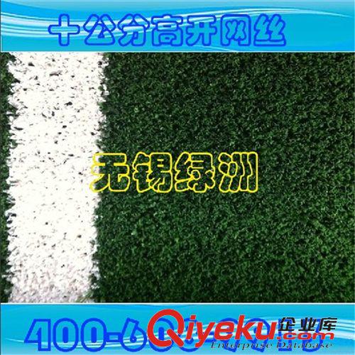 景觀裝飾系列產品 【廠家直銷】精品推薦 網球場專用CPG-10D 人造草坪 量大從優