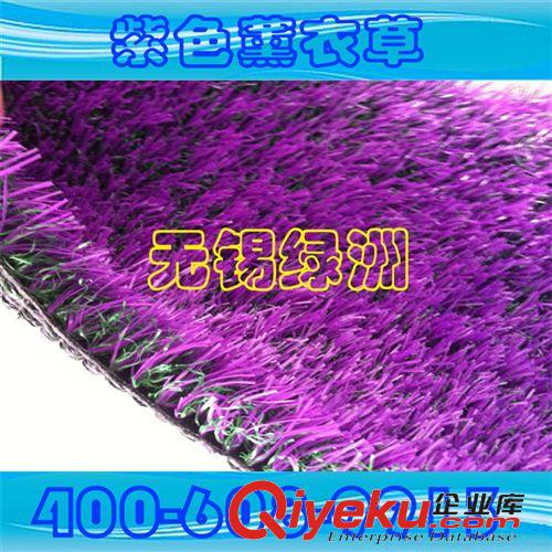 景觀裝飾系列產品 【精品推薦】廠家直銷 供應優質 紫色曲直草絲草坪 量大從優