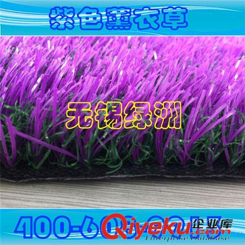 景觀裝飾系列產品 【精品推薦】廠家直銷 供應優質 紫色曲直草絲草坪 量大從優