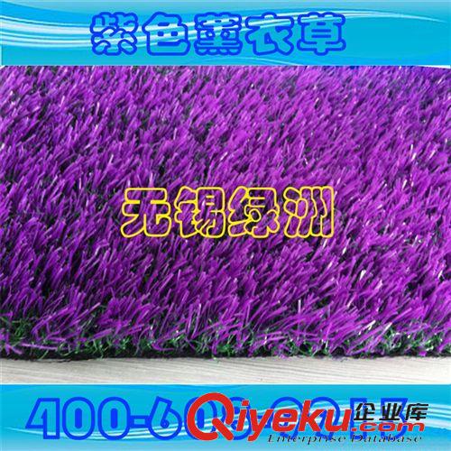 景觀裝飾系列產品 【精品推薦】廠家直銷 供應優質 紫色曲直草絲草坪 量大從優