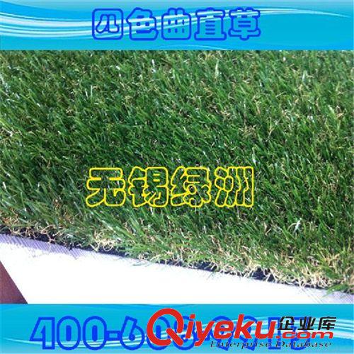 景觀裝飾系列產(chǎn)品 【精品推薦】廠家直銷 供應(yīng)優(yōu)質(zhì) 紫色曲直草絲草坪 量大從優(yōu)