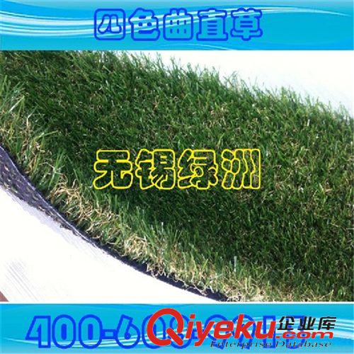 景觀裝飾系列產(chǎn)品 【廠家直銷】供應優(yōu)質(zhì) 四色景觀草坪 四色草坪批發(fā) zyjl 特惠
