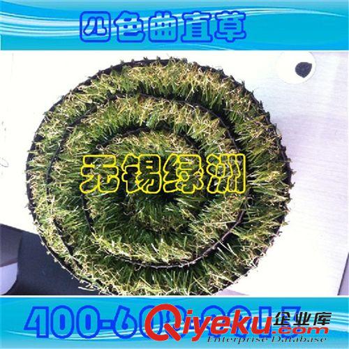 景觀裝飾系列產(chǎn)品 【廠家直銷】供應優(yōu)質(zhì) 四色景觀草坪 四色草坪批發(fā) zyjl 特惠