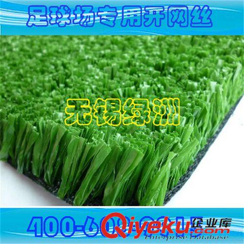 景觀裝飾系列產(chǎn)品 【廠家直銷】優(yōu)質(zhì)幼兒園跑道專用草坪 酒店賓館 人造草坪批發(fā)