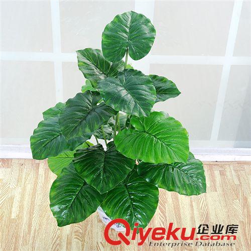 盆景 廠家銷售仿真植物居家辦公室落地裝飾18片葉滴水觀音盆景盆栽原始圖片3