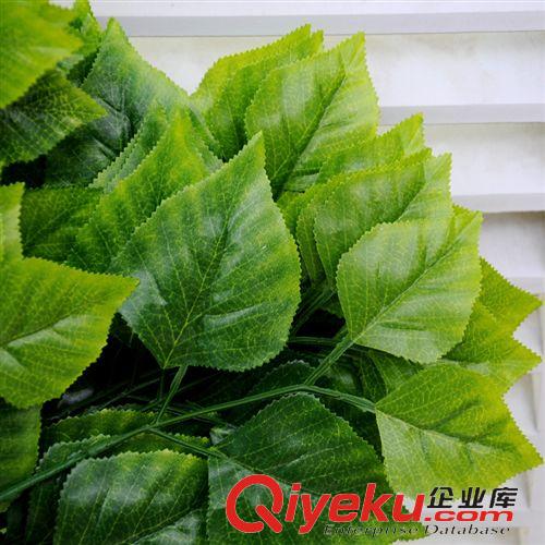 樹枝 gf真樺樹枝仿真樹枝仿真植物假樹裝飾工程綠化熱帶樹葉廠家直銷原始圖片2