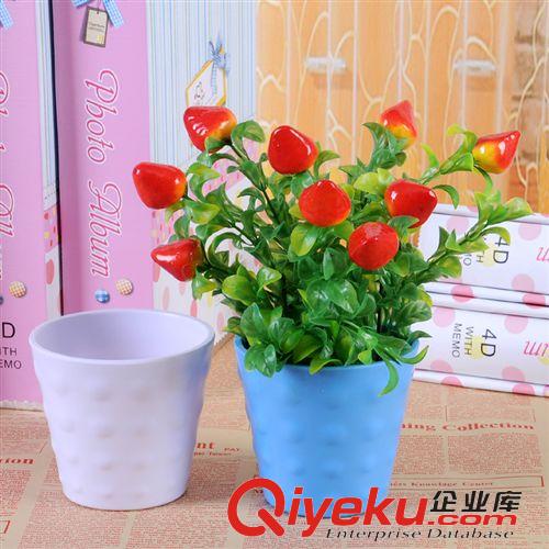 套裝花果 家居裝飾用品仿真植物水果迷你樹(shù)脂彩盆套裝拍攝道具購(gòu)滿包郵原始圖片3