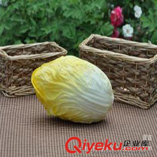 仿真水果 蔬菜 大白菜 仿真水果蔬菜模型 餐廳超市擺件配飾裝飾 廠家現貨批發