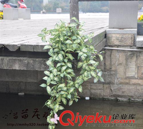 仿真藤 花藤 水果藤 軟掛 星點木掛壁 優質仿真葉  植物墻草藤  義烏廠家低價批發原始圖片2