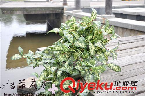 仿真藤 花藤 水果藤 軟掛 星點木掛壁 優質仿真葉  植物墻草藤  義烏廠家低價批發原始圖片3