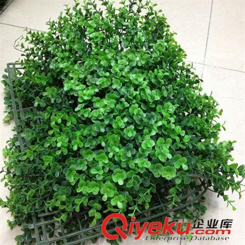 仿真草坪 多種 40*60尤加利草 仿真草皮 仿真草坪 草皮廠家直銷原始圖片3