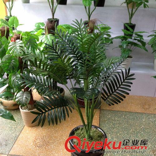 仿真樹  多種 21葉散尾葵 仿真樹植物 落地盆景 仿真植物酒店客廳 假樹 批發(fā)