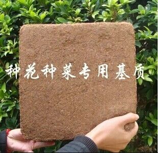 園藝介質 無土栽培基質椰糠磚 營養土 種植土 大塊，約5公原始圖片2