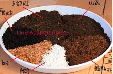山泥，營養土 大量批發零售國泥炭+珍珠巖+蛭石 多肉植物營養土 質量好500克原始圖片2
