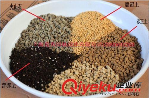花肥 大量批發(fā)零售多肉土 ，多肉介質(zhì)，多肉專業(yè)