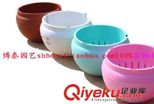 花肥 批發美樂棵 濃縮液體肥 花卉 多肉型 營養液 批發送花盆60ML