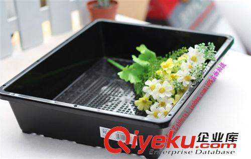 園林器具 批發(fā)  園藝用品不銹鋼鑷子