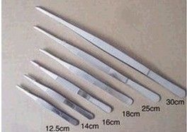園林器具 批發(fā)  園藝用品不銹鋼鑷子