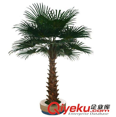 仿真大樹(shù)系列 仿真大樹(shù) 棕櫚樹(shù) 華盛頓棕櫚 東莞廠家專業(yè)定制生產(chǎn)