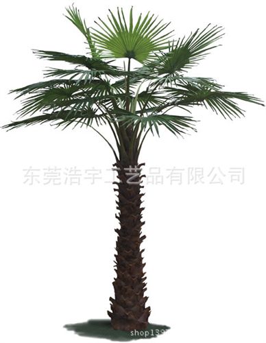 仿真大樹(shù)系列 仿真大樹(shù) 棕櫚樹(shù) 華盛頓棕櫚 東莞廠家專業(yè)定制生產(chǎn)原始圖片3