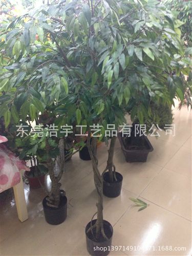 仿真大樹系列 仿真大型楓樹 各種款式 各種大小