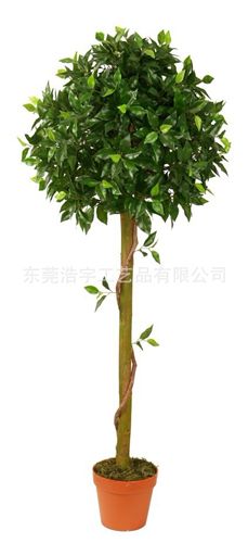 仿真大樹系列 仿真小榕樹盆栽大量出售  人造真木桿榕樹盆栽 東莞廠家熱銷原始圖片2