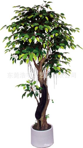 仿真大樹系列 仿真小榕樹盆栽大量出售  人造真木桿榕樹盆栽 東莞廠家熱銷原始圖片3