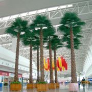 仿真大樹系列 山東爆款棕櫚樹 優質仿真大樹 仿真棕櫚樹綠化造景原始圖片3