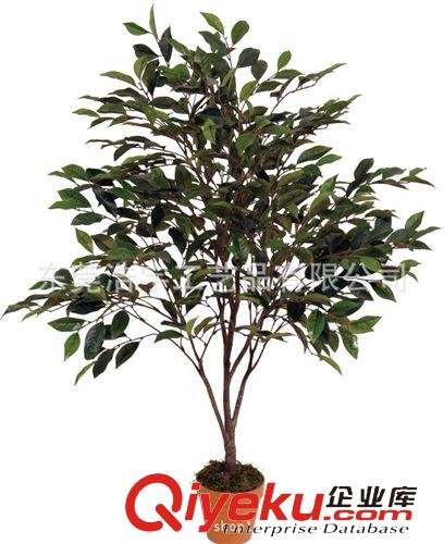 仿真大樹系列 綠榕樹 室內外景觀榕樹盆栽  假樹綠化工程原始圖片2
