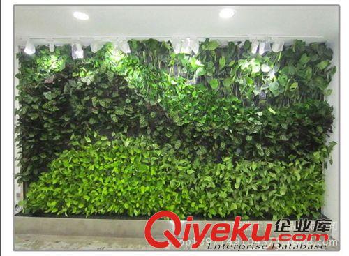 仿真植物墻 室內外背景墻綠化工程 仿真植絨苔蘚背景墻裝飾 工廠直銷