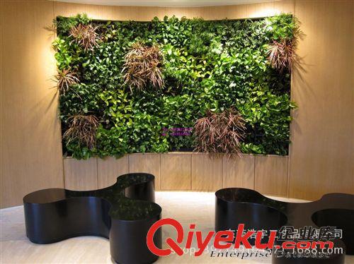 仿真植物墻 廣東定制 gd仿真植物墻立體綠化墻櫥窗酒店餐廳綠植墻工程