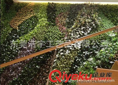 仿真植物墻 新品上市 高仿真植物墻 DIY時尚家裝流行款 仿真植物 批發(fā)原始圖片2