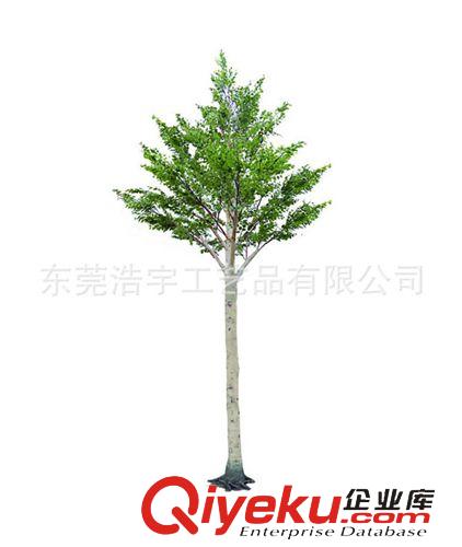 仿真花果樹(shù)/系列 廠家直銷gf真白樺樹(shù)假樹(shù)  爆款室內(nèi)外裝飾假樹(shù)  綠化工程批發(fā)原始圖片2
