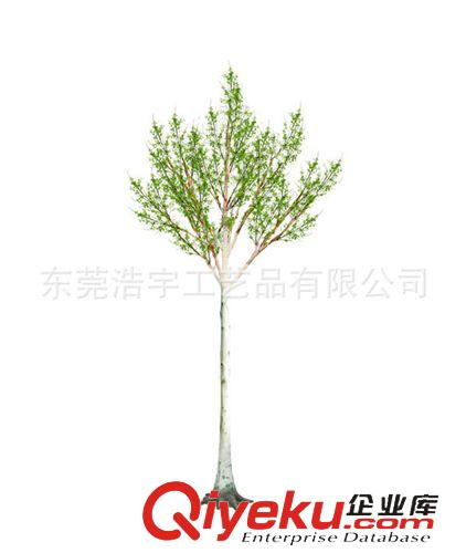 仿真花果樹(shù)/系列 廠家直銷gf真白樺樹(shù)假樹(shù)  爆款室內(nèi)外裝飾假樹(shù)  綠化工程批發(fā)原始圖片3