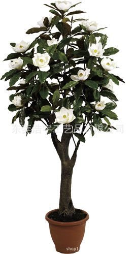 仿真花果樹/系列 玉蘭樹盆景仿真批發(fā)原始圖片2