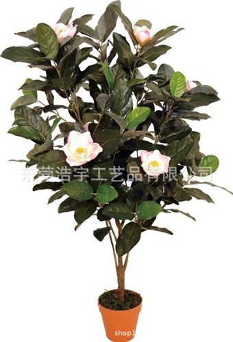 仿真花果樹/系列 玉蘭樹盆景仿真批發(fā)原始圖片3