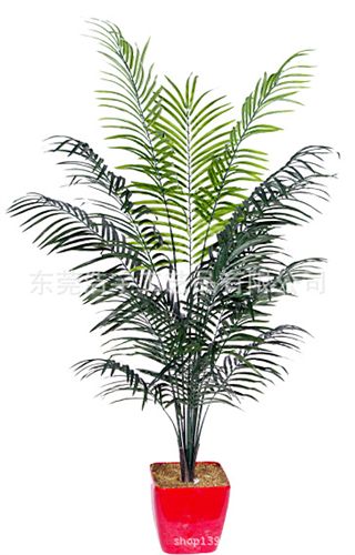 仿真綠植 廠家供應(yīng)各類仿真植物 加密超大仿真羅漢松 造型樹 仿真植物盆栽