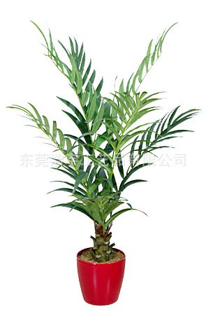 仿真綠植 海南爆款 仿真植物 廠家大量定制 價格從優(yōu) 仿真綠植盆景原始圖片3
